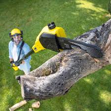 Best Pest Control for Lawns  in Rosita, TX